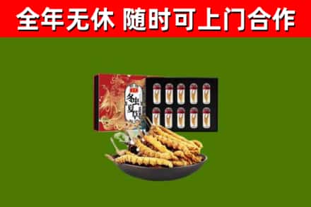 定海区烟酒回收冬虫夏草礼盒.jpg