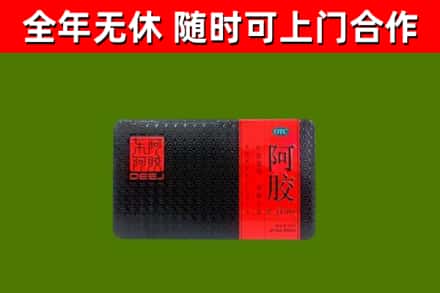 定海区回收阿胶