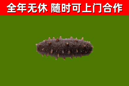 定海区烟酒回收干海参.jpg