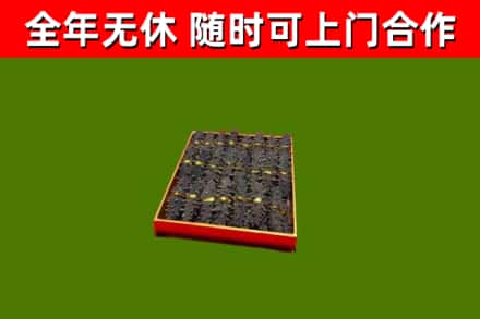 定海区回收海参